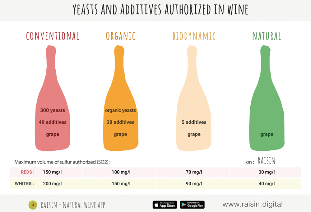 natural wine: levels of sulfites and additives authorized in wine.
